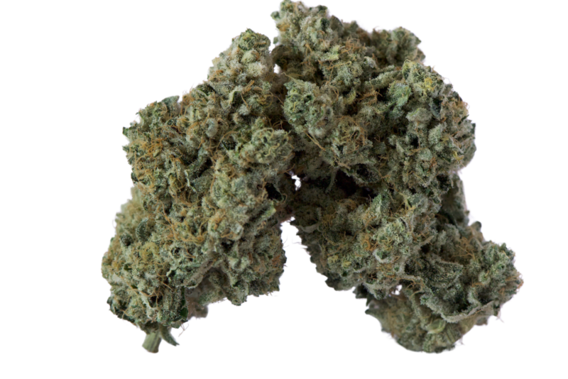 Lime Heads by Island Genetics