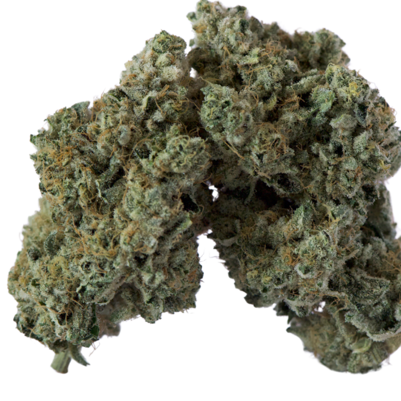 Lime Heads by Island Genetics